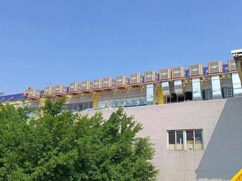 鐵皮廠房如何降溫，來這里了解更多方案