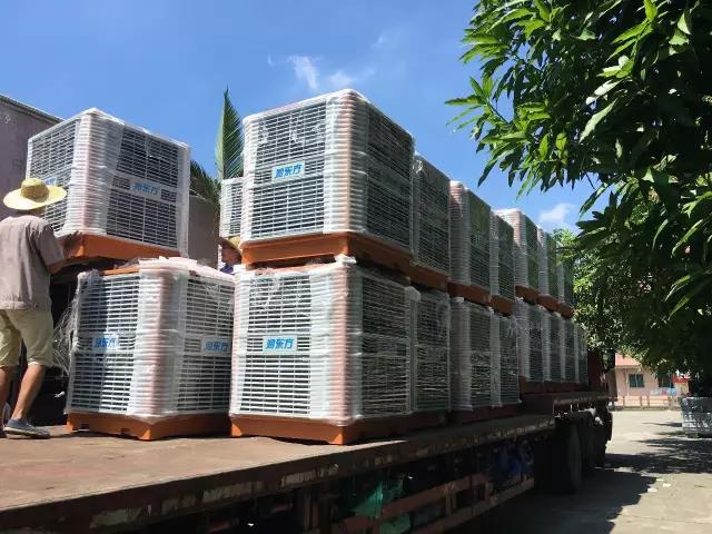工廠車間快速降溫方法，你知道嗎？